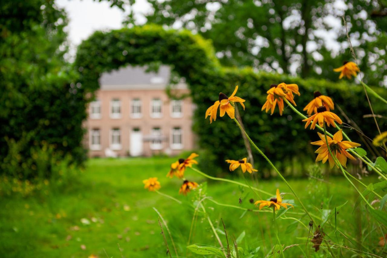 Amand'Eau - Zwemvijver, Zonneterras, Grote Tuin Sint-Amands Exterior foto